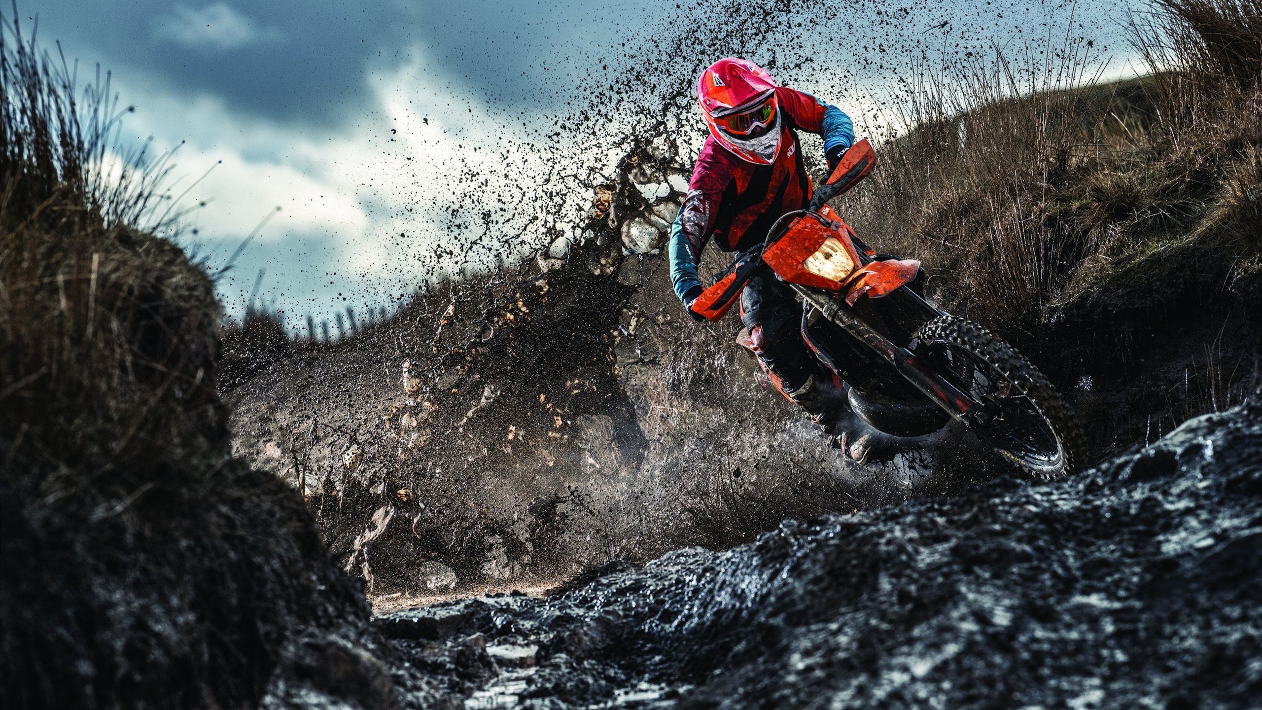 莱万多夫斯基重返赛场,爆冷首场状态出色,澳大利亚队观众沸腾!比赛高潮迭起